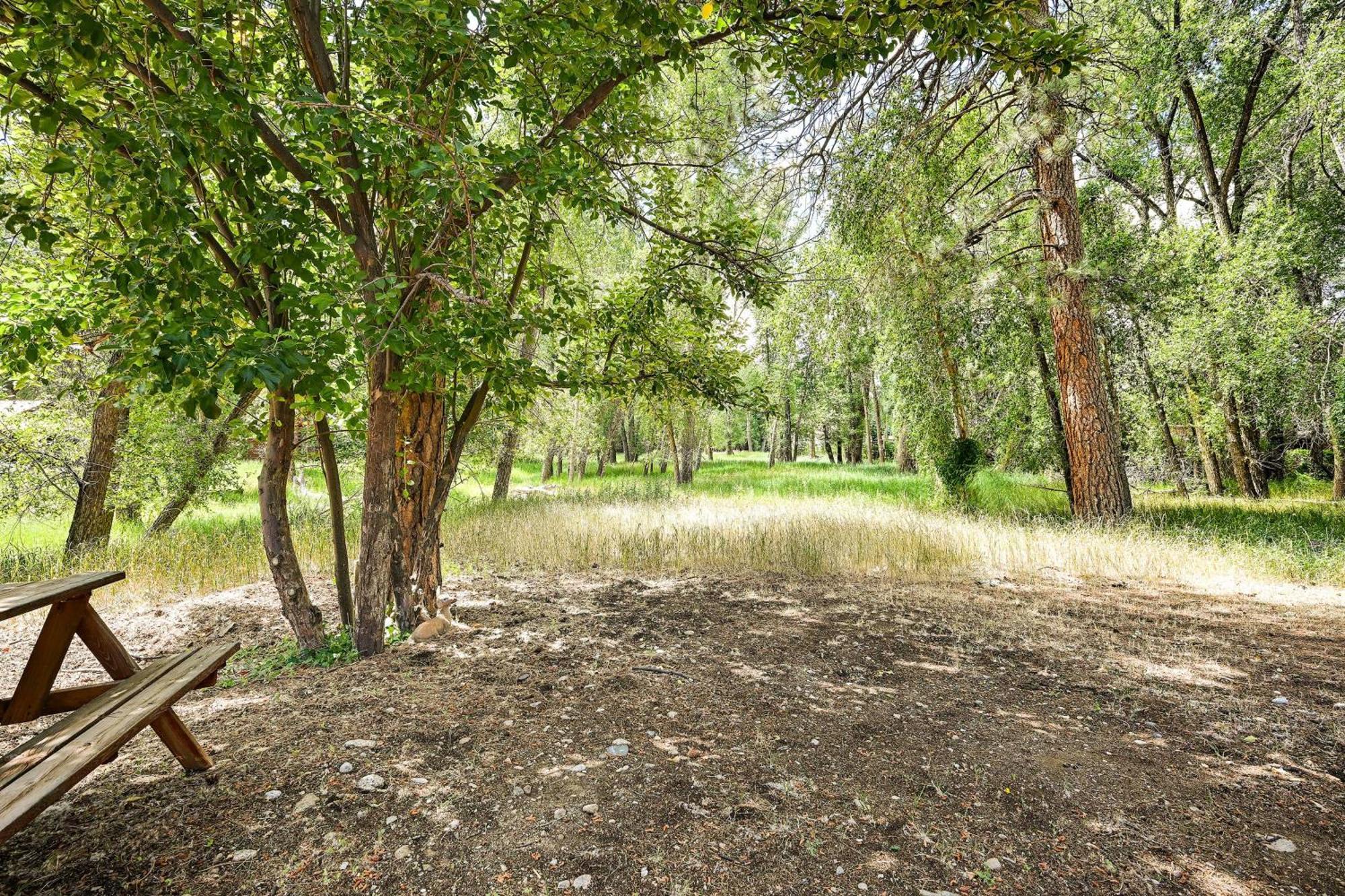 בואנה ויסטה Rustic Cabin Near Downtown Bv And Arkansas River! מראה חיצוני תמונה